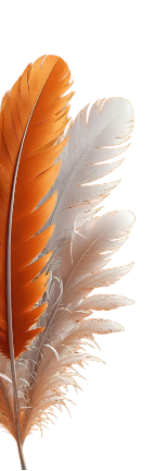 Feather