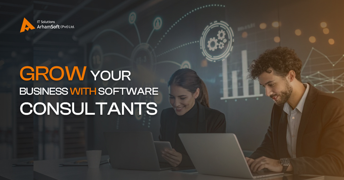Your Business Can Benefit From the Services of Software Consultants