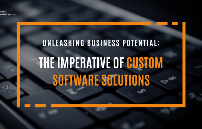 Custom Software Solutions